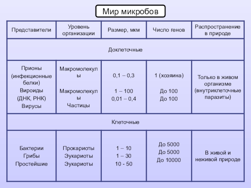 Микробиология в таблицах и схемах