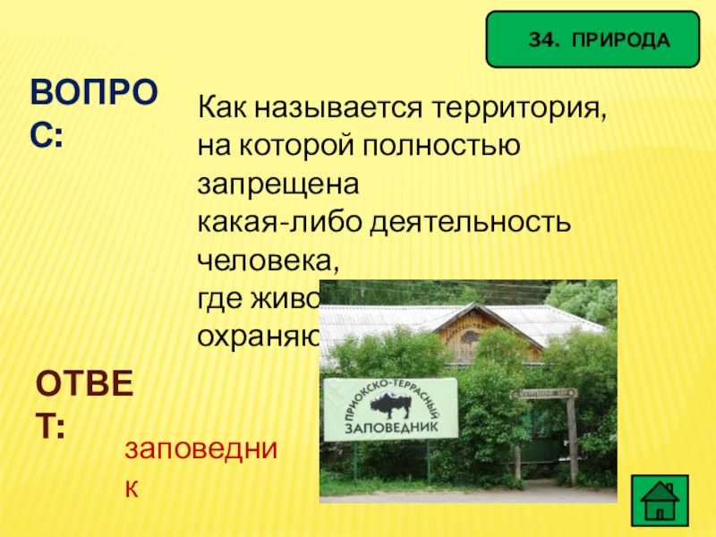 Как называется без. Территория на которой запрещена любая деятельность людей называется. Как называется территория. Участок территории где полностью запрещается деятельность людей. Загадка ответ заповедник.