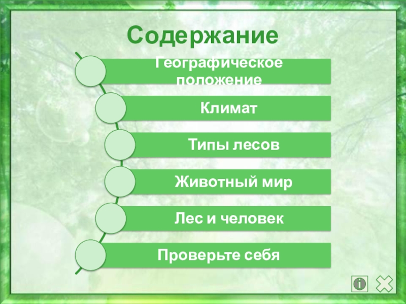 Типы лесов. Леса России проверь себя. Типы лесов по географическому положению. Русский лес содержание.