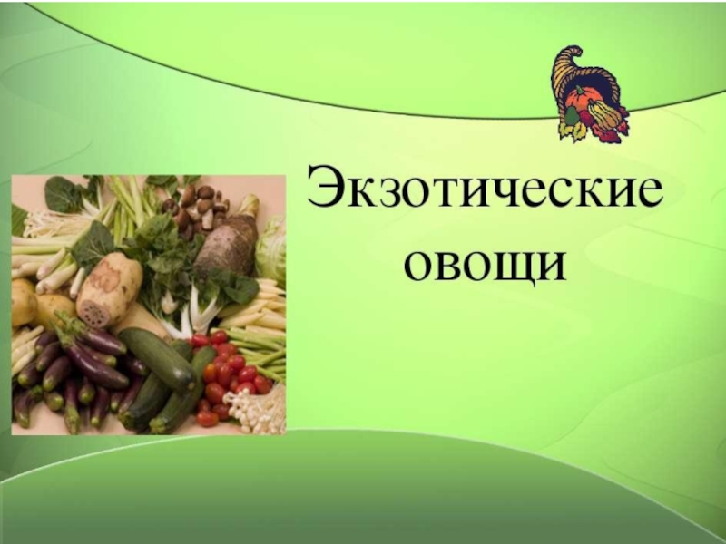 МДК 01.01.виды экзотических овощей