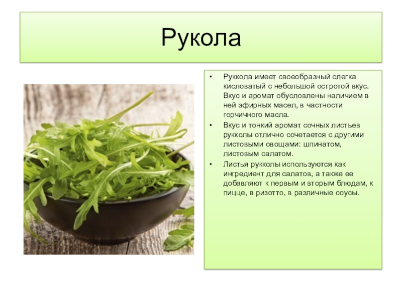 Польза рукколы. Руккола описание растения. Руккола картинки описание. Руккола описание. Чем полезна руккола.