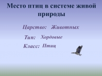 Место птиц в системе живой природы