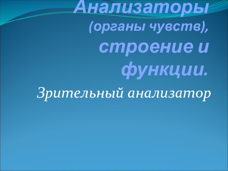 Тест 24 органы чувств зрительный