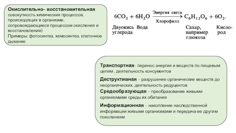 Химические процессы в человеке. Химические процессы примеры. Химический процесс сопровождается. Особенности процессов окисления восстановления в живых организмах. Совокупность химических процессов организма..