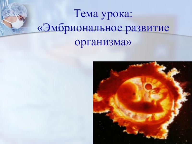 Тема урока: Эмбриональное развитие организма