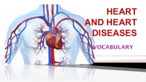 HEART AND HEART DISEASES
