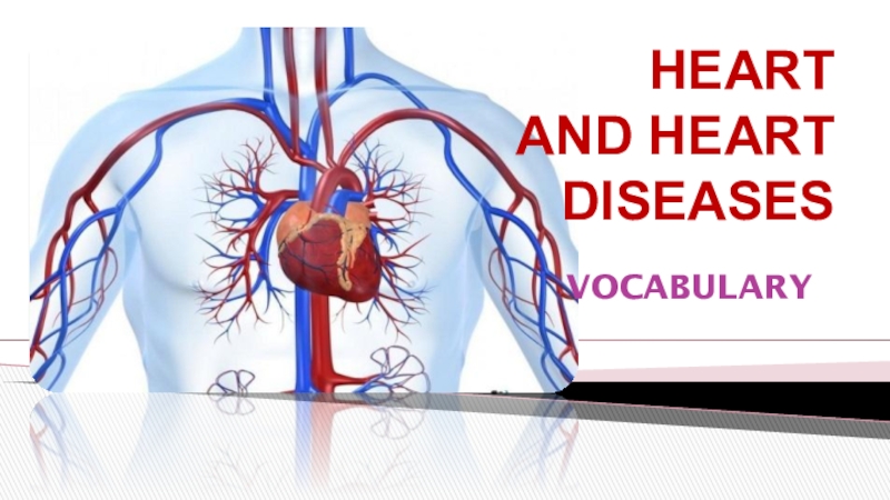 Презентация HEART AND HEART DISEASES