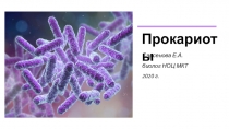 Прокариоты
Сарсенова Е.А.
биолог НОЦ МКТ 2020 г