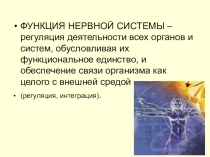 ФУНКЦИЯ НЕРВНОЙ СИСТЕМЫ – регуляция деятельности всех органов и систем,