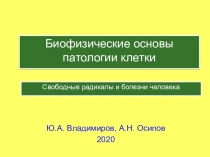 Свободные радикалы и болезни человека