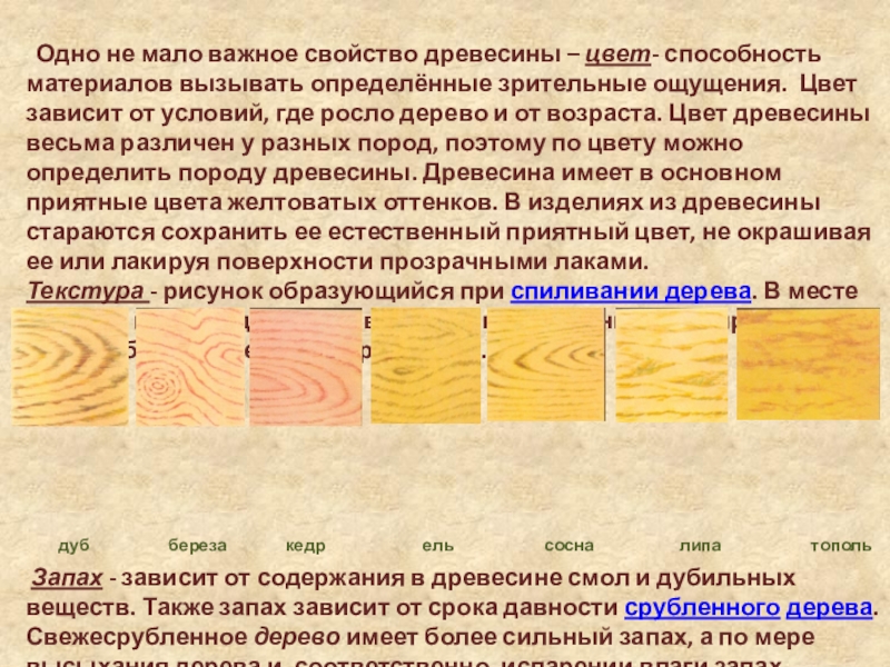 Свойства древесины презентация