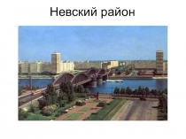 Невский район