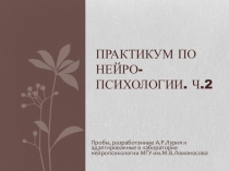 Практикум по нейро - психологии. Ч.2