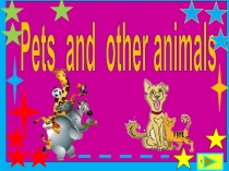 1
Pets and other animals