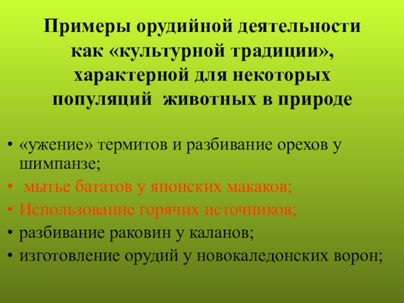 Виды деятельности животных. Орудийная деятельность примеры. Орудийная деятельность животных. Орудийная деятельность животных примеры. Приведите примеры орудийной деятельности животных.