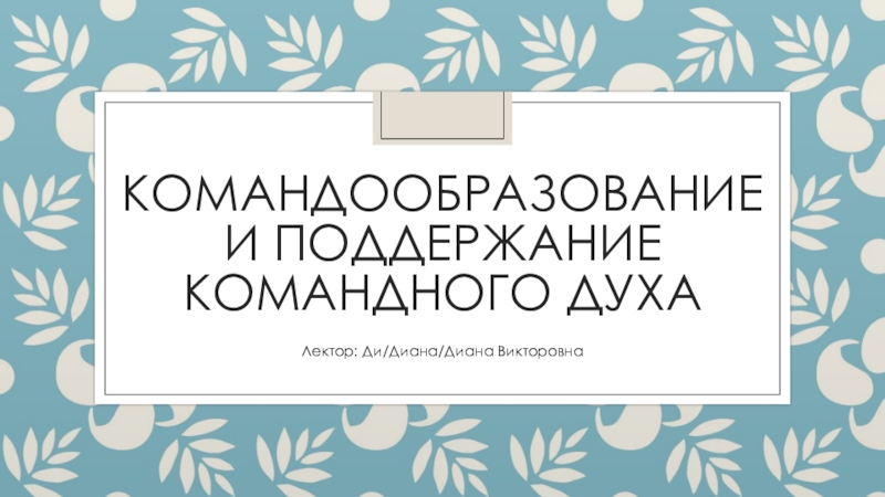 командообразование и поддержание командного духа