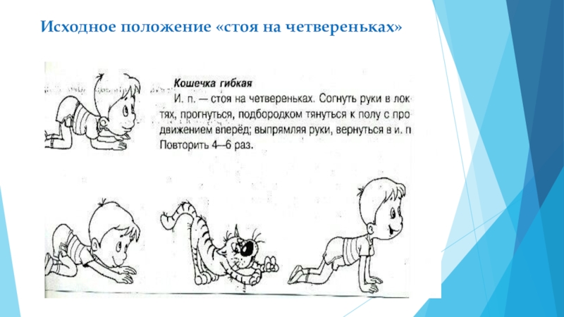 Исходное положение. Положение стоя на четвереньках. Исходное положение на четвереньках. Правильное положение ребенка на четвереньках. Исходное положение на четвереньках как правильно.