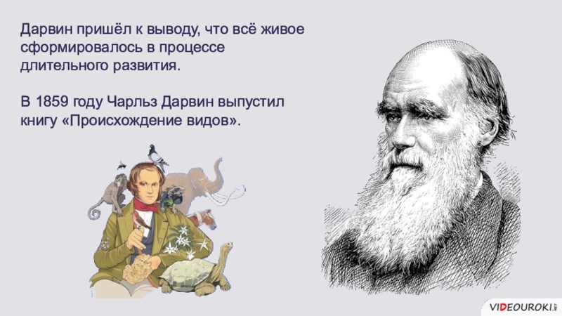 Человечество пришло к выводу что. Наука XIX века Дарвин. Ч Дарвин портрет. Ученые пришли к выводу картинка. Выводы к которым пришел Дарвина.