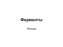 Ферменты