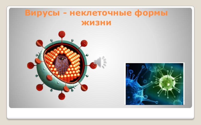 Презентация Вирусы - неклеточные формы жизни