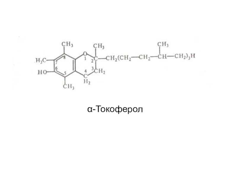 Токоферол это. Α-токоферол. Альфа токоферол формула структурная. Α-токоферол е. Α-токоферол формула.