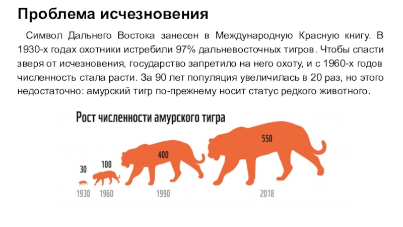 Диаграмма амурских тигров