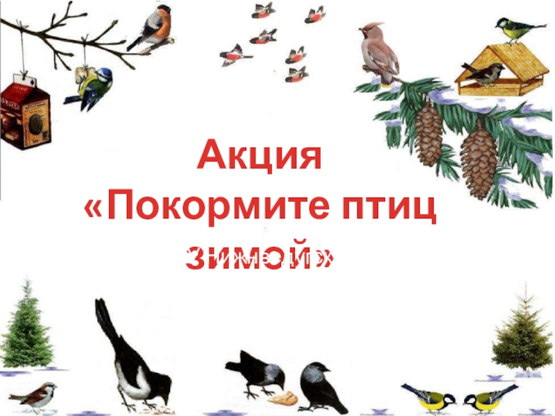 Акция
 Покормите птиц зимой
МКОУ Нижнведугская СОШ
Семилукского