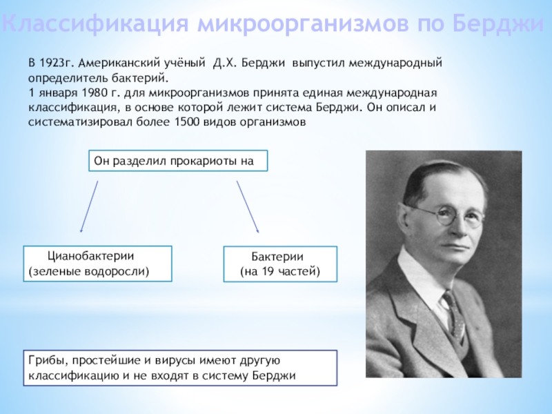 Первые классификации. Классификация Берджи микробиология. Классификация бактерий Берджи. Определитель бактерий Берджи. Классификация прокариот по Берджи.