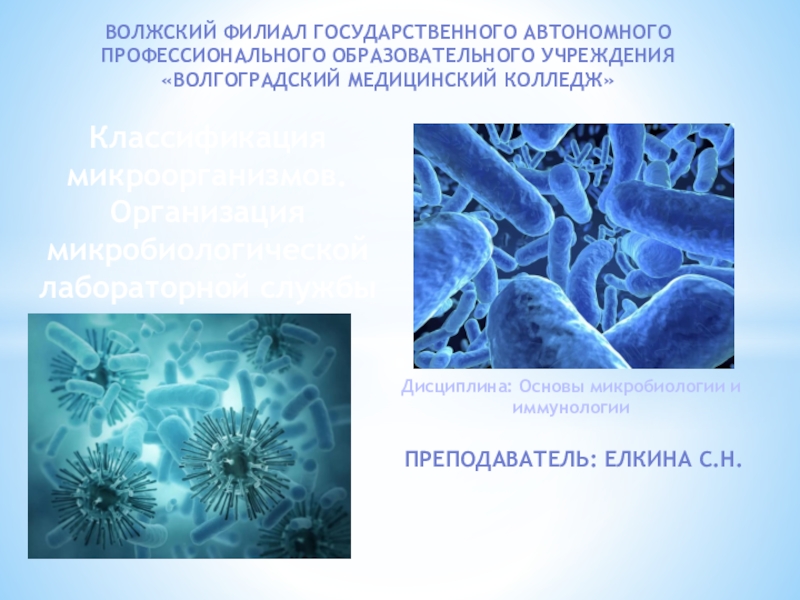 Классификация микроорганизмов. Организация микробиологической лабораторной