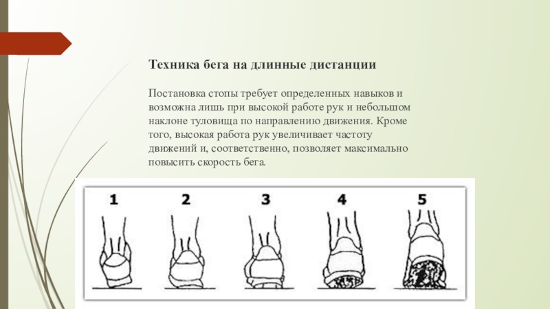 Длинное расстояние. Правильная постановка стопы при беге на длинные дистанции. Техника бега трусцой постановка стопы. Бег на длинные дистанции постановка стопы. Техника бега на средние дистанции постановка стопы.