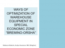 WAYS OF OPTIMIZATION OF WAREHOUSE EQUIPMENT IN SPECIAL ECONOMIC ZONE “