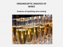 ORGANOLEPTIC ANALYSIS OF WINES
Features of sparkling wine tasting