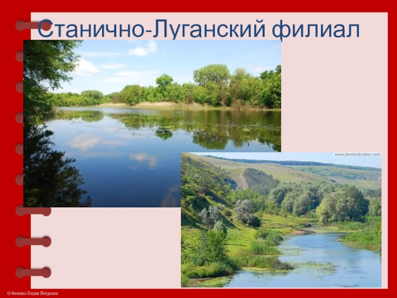 Луганский государственный заповедник. Станично-Луганский заповедник. Станично Луганский филиал. Станично Луганский заповедник на карте. Станично Луганский район и я этим горжусь стихотворение.