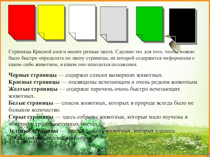 Проект по цветам