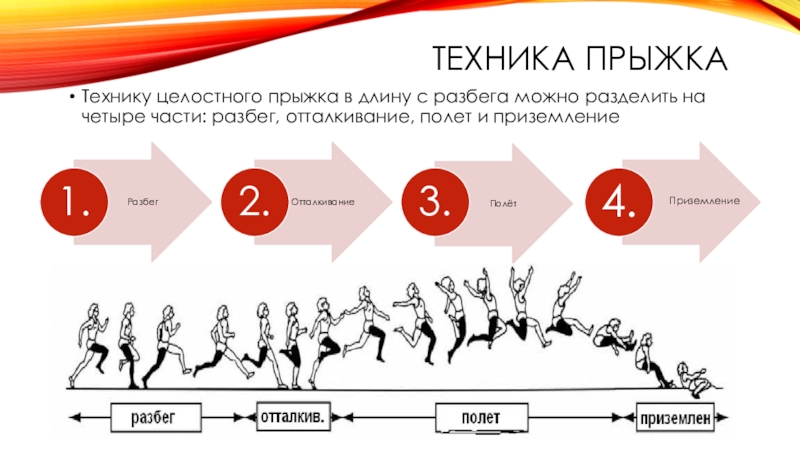 Прыжок в длину фаза отталкивания. Прыжки в длину с разбега с 3-5 шагов. Техника прыжка в длину с разбега. Техника отталкивания в прыжках в длину с разбега. Фазы техники прыжка в длину.