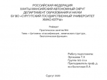 РОССИЙСКАЯ ФЕДЕРАЦИЯ ХАНТЫ-МАНСИЙСКИЙ АВТОНОМНЫЙ ОКРУГ ДЕПАРТАМЕНТ ОБРАЗОВАНИЯ