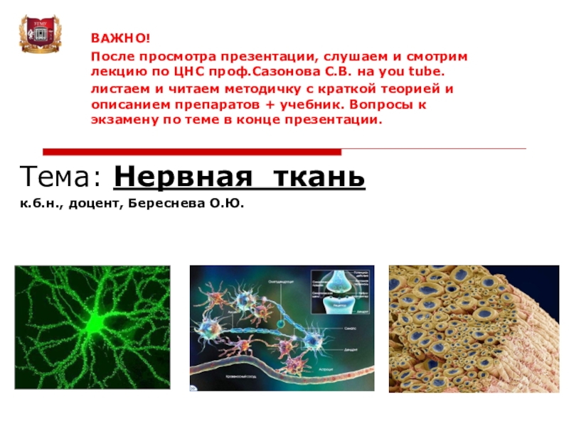 Презентация Тема : Нервная ткань
к.б.н., доцент, Береснева О.Ю.
ВАЖНО!
После просмотра