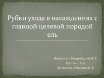 Р убки ухода в насаждениях с главной целевой породой ель