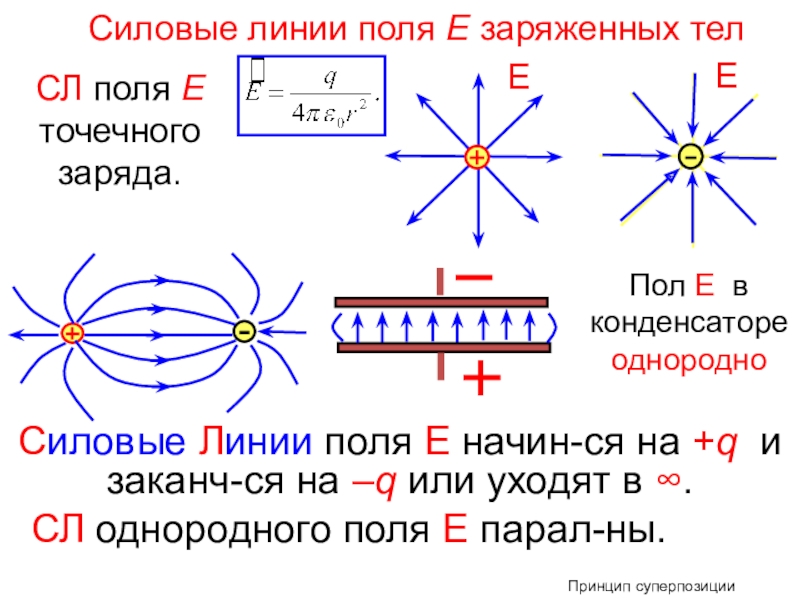 Картина силовых линий