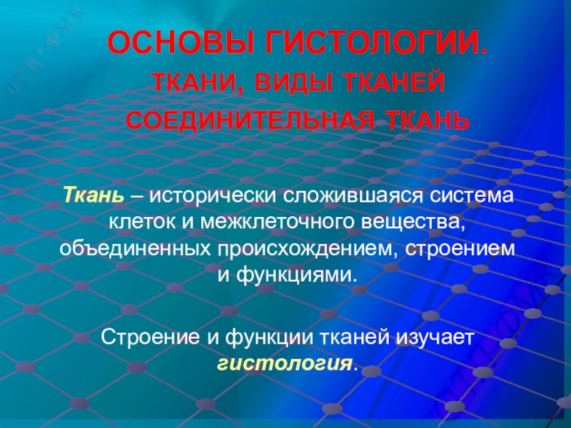 ОСНОВЫ ГИСТОЛОГИИ. ТКАНИ, ВИДЫ ТКАНЕЙ СОЕДИНИТЕЛЬНАЯ ТКАНЬ