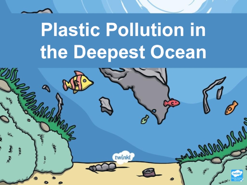 Plastic Pollution in the Deepest Ocean