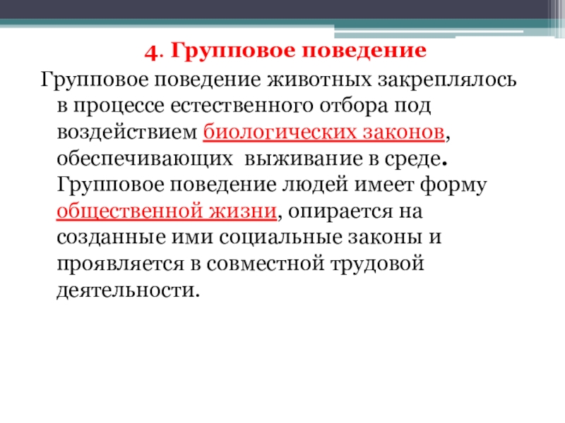 Групповое поведение. Групповое поведение животных. Групповые формы поведения у животных. Групповое поведение людей. Формы группового поведения.