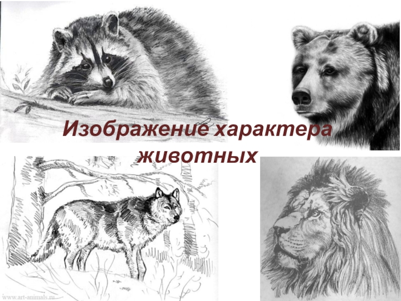 Презентация Изображение характера животных