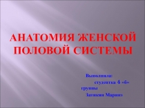 Анатомия женской половой системы