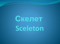 Скелет Sceleton