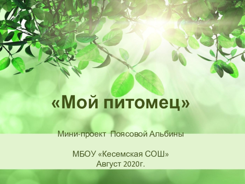 Мой питомец  Мини-проект Поясовой Альбины МБОУ  Кесемская СОШ Август 2020г