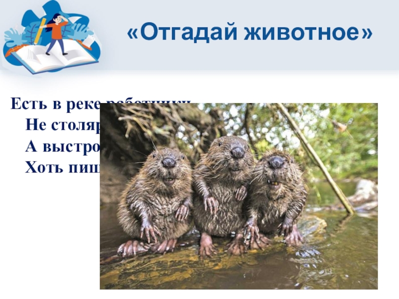 Есть в реке работники не столяры не плотники а выстроят плотину хоть пиши картину