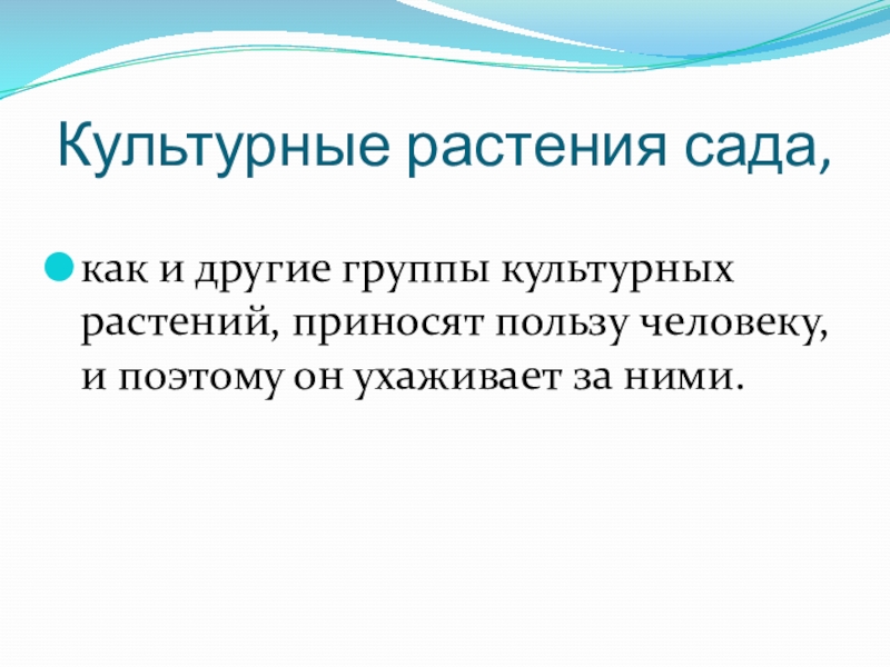 Растения сада презентация