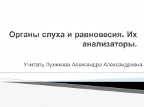 Органы слуха и равновесия. Их анализаторы