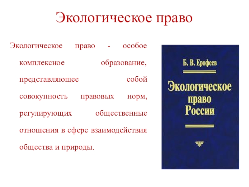 Изображение представляющее собой совокупность точек